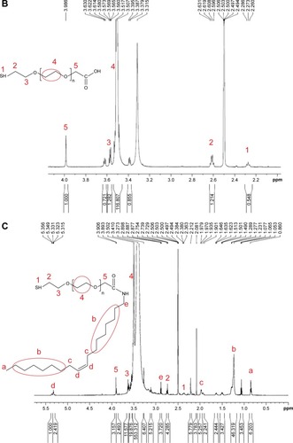 Figure 2 1H NMR spectrum of oleylamine (A), SH-PEG-COOH (B), and coupled SH-PEG–OAm (C).Note: The letters a–e represent the protons in oleylamine; the numbers 1–5 represent the protons in SH-PEG-COOH.Abbreviations: NMR, nuclear magnetic spectroscopy; OAm, oleylamine; PEG, poly(ethylene glycol).