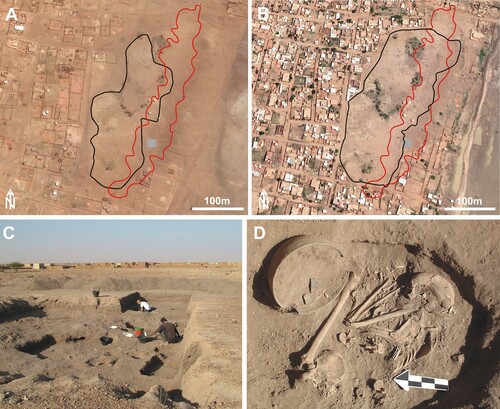 Figure 9. Rescue archaeology of the Mesolithic site 10-X-6. Google Earth™ satellite imageries of the mound hosting the archaeological sites in (A) 2005 (soon after the end of the excavation) and in (B) 2019. The red line is the extension of site 10-X-6, the grey square the area of the archaeological excavation, and the black line indicates the expansion of the modern cemetery. Note the increase of modern graves on top of the mound, especially in its eastern flank, and the expansion of the buildings. (C) General view of the excavation. (D) Detail of one of the Post-Meroitic graves.