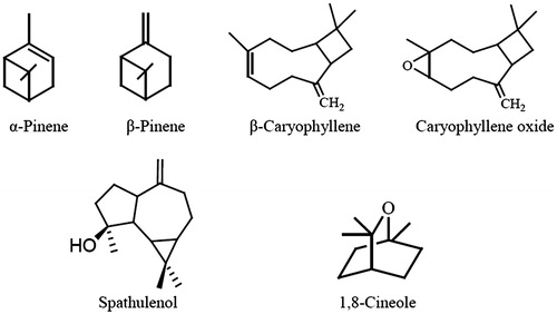 Figure 2. Chemical structures of the most commonly occurring major volatile components of Hymenocrater species.