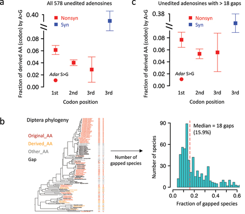 Figure 4. A-to-G transition in other diptera species is significantly avoided for the RNA editing site in drosophila Adar. (a) Mean ± S.E. (standard error) of the expected transition rate from original AA (codon) to derived AA (codon). Unedited adenosines were used and shown as squares and whiskers. The observed transition rate at adar S > G site was labeled in the plot. (b) Definition of gapped diptera species and histogram showing the numbers of gaps at each site. (c) Mean ± S.E. (standard error) of the expected transition rate using unedited adenosines with > 18 gapped species in diptera.