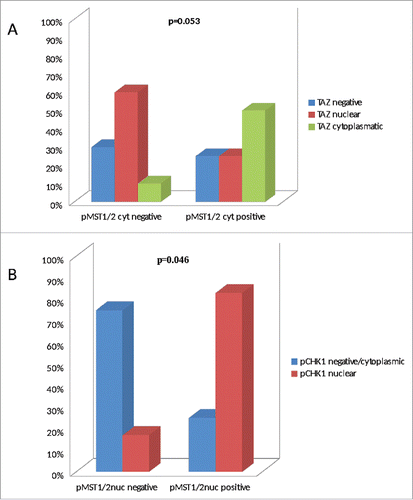 Figure 2. Bar charts illustrating the association between pMST1/2cyt and TAZ (panel A), and between pMST1/2nuc and pChk1 (panel B).