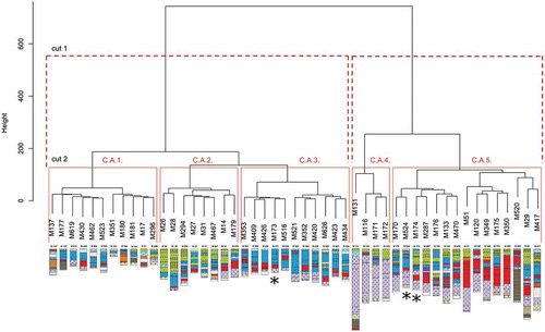 Figure 4. Ward hierarchical clustering using cumulative thickness of 11 substrate types and peatland depth as attributes. Data not standardized. *threatened peatlands.