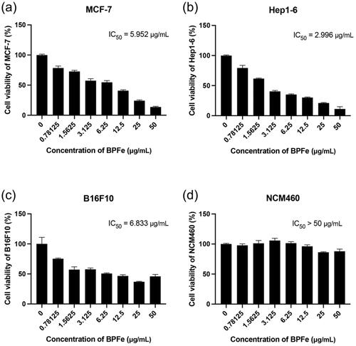 Figure 4. Cytotoxicity assays of BPFe. Tumor cell lines: (a) MCF-7, (b) Hep 1–6, (c) B16F10. Normal cell line: (d) NCM460.