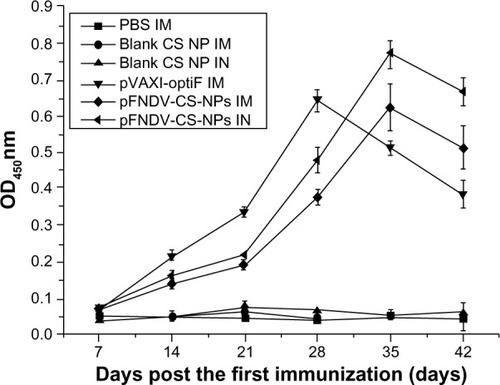 Figure 6 IgG antibody titers in serum of SPF chickens immunized with PBS (IM), blank CS-NP (IM), blank CS-NP (IN), and the naked plasmid DNA (IM), pFNDV-CS-NPs (IM), pFNDV-CS-NPs (IN).Note: Data are presented as the mean ± standard deviation (n=5).Abbreviations: CS, chitosan; DNA, deoxyribonucleic acid; IM, intramuscularly; IN, intranasally; OD, optical density; PBS, phosphate buffered saline; pFNDV-CS-NPs, Newcastle disease virus F gene encapsulated in chitosan nanoparticles; SPF, specific pathogen free; IgG, immunoglobulin G.