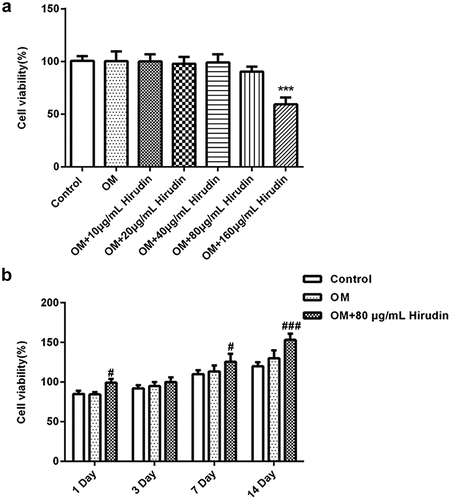 Figure 1. Hirudin treatment promoted cell viability. (a) The cytotoxicity of HBMSCs treated for 48 h by Hirudin was evaluated with the CCK-8 assay. (b) The proliferation of HBMSCs treated for 48 h by Hirudin was evaluated with the MTT assays. Error bars represent the mean ± SD from three independent experiments. ***P < 0.001 vs. Control. #P < 0.05, ###P < 0.001 vs. OM.