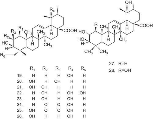 Scheme 3.  Ursolic acid and structurally related triterpenes for HIV activity.