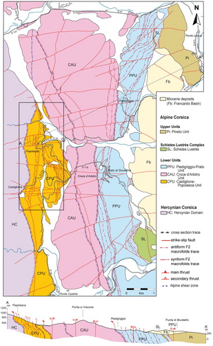 Figure 2. Tectonic sketch of the area and related cross-section. The black box indicates the area of Figure 3.