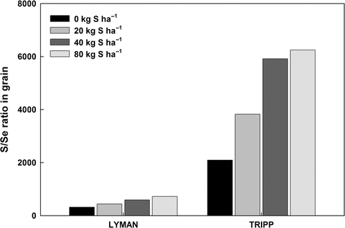Figure 2. The effect of sulfate (S) fertilizer application on the ratio of S and selenium (Se) in wheat (Triticum aestivum) grain for two growing seasons.