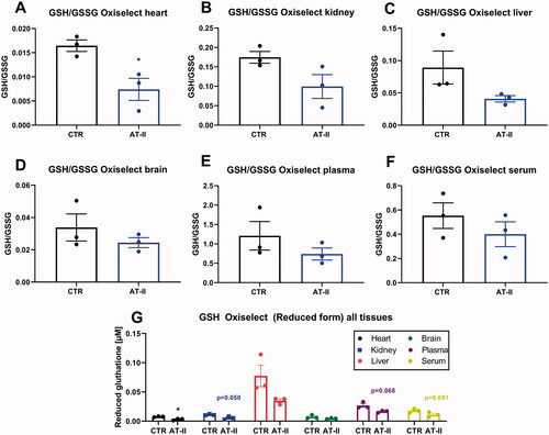 Figure 7. Effects of one-week angiotensin-II treatment on GSH/GSSG ratios by commercial kit determination. Ratio of GSH/GSSG was determined in freshly prepared tissue extracts with Oxiselect assay kit in the stored heart (A), kidney (B), liver (C), brain (D), plasma (E), serum (F) freshly isolated from control or AT-II-infused rats. (G) Absolute concentrations of reduced glutathione in all tissue extracts and fluids comparing control and hypertensive animals. For calculation of real tissue or fluid GSH concentrations, dilution factors of 1:200 (for tissues) and 1:20 (for fluids) must be considered. Data are presented as mean ± SEM from n = 3 (A-G). p < 0.05: * vs. respective CTR.
