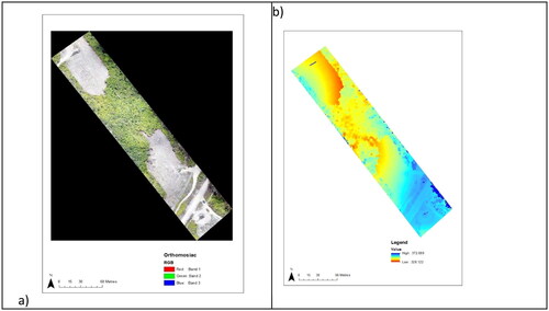 Figure 10. Drone-derived data produced (a) the orthomosaic image with RGB bands and (b) DSM.