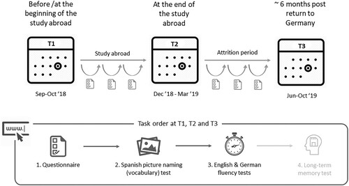 Figure 2. Online study overview.