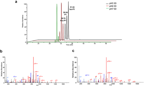 Figure 3. Extracted ion chromatograms of tryptic peptides of mAb-a that were pre-incubated at pH 5.0, 6.0, or 7.0 over five days and contain either aspartate, iso-aspartate, or succinimide (A). The figure also includes MS/MS spectra of the tryptic peptides that contain aspartate or iso-aspartate (B) and succinimide (C) located at amino acid residue position 55. The spectra and chromatograms indicate the presence of Asp55 isomerization products in the samples.