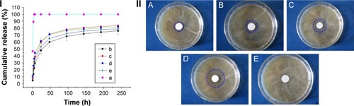 Figure 2 (I) In vitro release profile of pure RIF and drug-loaded PMS: (a) Pure RIF; (b) 1.51%; (c) 2.64%; (d) 4.05%; and (e) 5.16%. (II) Pictures of Staphylococcus aureus incubated for 18 h at 37°C together with extracted fluid from RIF-loaded PMS: (A) 1.51%; (B) 2.64%; (C) 4.05%; (D) 5.16%; and (E) RIF-free PMS.
