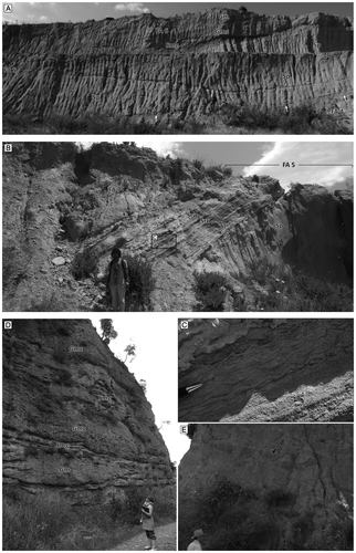 Figure 9. Photographs of representative facies showing the uppermost part of the Fevzipaşa formation. (A and B) Stratigraphical relationships between FA 6 and FA 5. The conglomerates of FA 6 and FA 7 rest directly on the cross-stratified sandstone of FA 5 (black arrows). (A) Stratigraphical relationships between FA 6, FA 5 and FA 4. Note the erosional base of the conglomerate (arrows) and lobe-shaped depositional pattern of the sandstones. Sp facies changes abruptly into sandstone facies of FA 4, (B) The conglomerate of FA 7 rests unconformably on the coarse-grained Sp facies of FA 5, (C) Current and wavy ripple cross-laminated sandstone (Src and Srw) intercalations in FA 5, (D) Conglomerate and sandstone facies of FA 7 representing proximal parts of the alluvial fan(s). Note the erosional bases, normal grading and transition to gravelly sandstone facies, (E) Gravelly sandstone facies (Smg) dominate the medial-distal parts of the alluvial fan(s). Note the pebble conglomerate lens (arrow) and scattered pebbles in poorly consolidated micaceous sandstone. Persons for scale in all photos are approximately 1.75 m in height, hammer is 30 cm long and pen is 14 cm long.