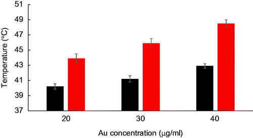 Figure 8. Final temperature rise of the KB cancer cells incubated with Fe2O3@Au (black) and Fe2O3@Au-FA NPs (red) at different Au concentration following 10 min NIR laser irradiation (808 nm; 6 W/cm2).