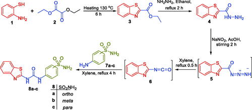 Scheme 1. Synthesis of target benzothiazole-derived sulphonamides 8a-c.