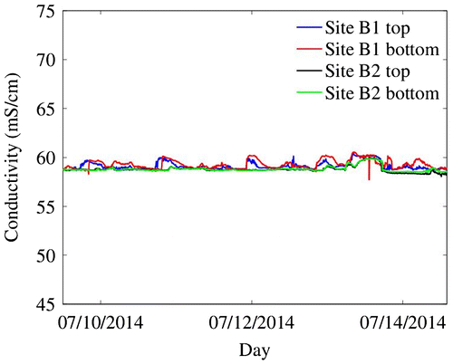 Fig. 7. Standardized conductivity measurements for site B.