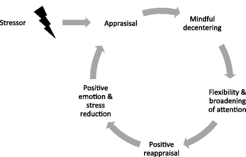 Figure 1. Mindful coping model (adapted from Garland et al., Citation2009).