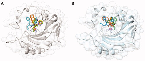 Figure 2. Cartoon representation of A) hCA IICitation36 and B) hCA IX-mimic overlayed on a surface view with zinc (magenta sphere) and His94, His96, and His119 (sticks) shown in the active site with inhibitors bound. 34 (purple), 41 (yellow), 42 (cyan), 46 (green), and 48 (orange) are shown in both panels.