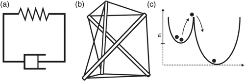 Figure 23. Different phenomenological models commonly used to describe cell mechanics. (a) Voigt element as one possible representation of mechanical equivalent circuits that combine springs and dashpots in various arrangements. (b) The tensegrity model describes the cell as a pre-stressed network consisting of cables and struts. (c) The soft glassy rheology models assume a complex energy landscape with wells of different depth Δ E such that spontaneous transitions form one to another well have a very low probability.