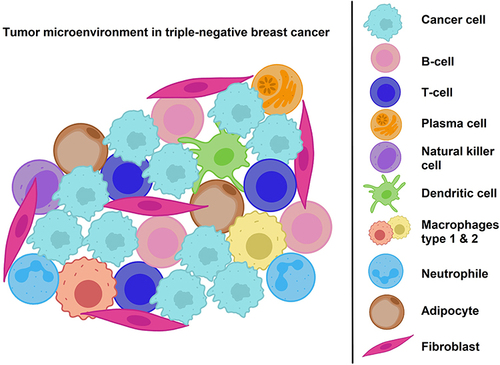 Figure 1 Illustration of the tumur microenvironment in triple-negative breast cancer.