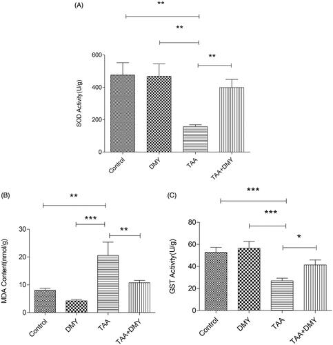 Figure 3. Liver function. (A) The level of SOD. (B) The level of MDA. (C) The level of GST. DMY: DMY-treated (5 mg/kg) group; TAA: TAA-treated (600 mg/kg) group; TAA + DMY: TAA-treated (600 mg/kg) + DMY-treated (5 mg/kg) group. Values are expressed as mean ± SD (n = 8). *p < 0.05, **p < 0.01, and ***p < 0.001.