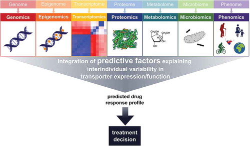 Figure 2. ‘-omics’-technologies and future direction of transporter research. The integration of genomic, epigenomic, transcriptomic, proteomic, metabolomic, microbiomic and last but not least phenomic data of individual patients leads to the understanding of interindividual variability of drug response and helps to identify predictive markers for individual response profiles and will eventually support treatment decisions.