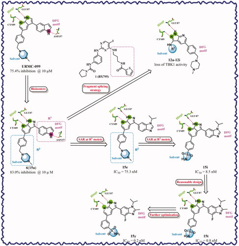 Figure 3. Design and modification strategies of novel TBK1 inhibitors.
