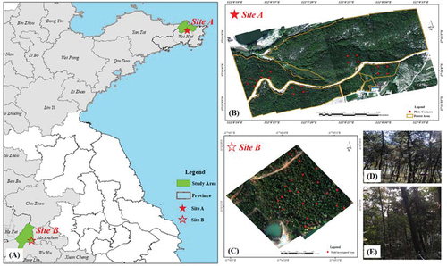 Figure 1. Location of the study areas. (a) represents the location of the study areas; (b) and (c) denote the true color composite images from 639 nm, 550 nm, and 470 nm of Site a and Site B used in this study; (d) and (e) are the live photo of the study area.