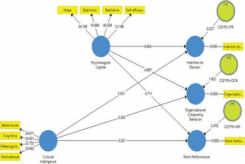 Figure 3. Structural model (with moderator).