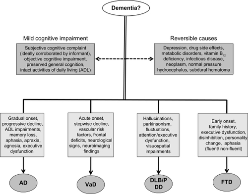 Figure 3 Differential diagnostic considerations for dementia.