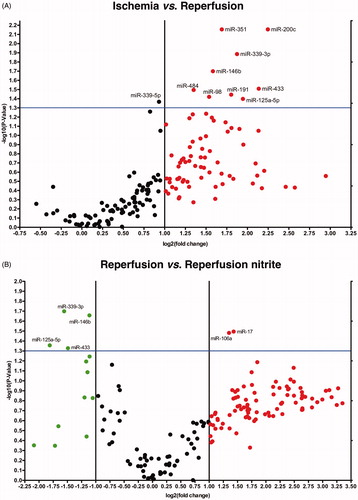 Figure 2. Volcano plots show differential miRNA expression. Depicted miRNAs are differentially regulated in 5 min of reperfusion vs. ischemia control group (A) and in nitrite-treated reperfusion vs. reperfusion control group (B) (ischemia n = 3, reperfusion control n = 4, reperfusion + nitrite n = 4; p < 0.05).