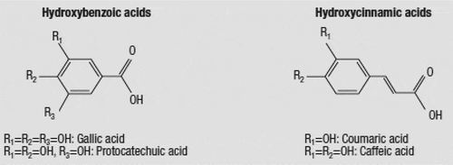 Figure 2. General structural formulae of phenolic acids.[Citation2]