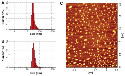 Figure 2 Particle size distribution of paclitaxel-loaded conventional liposomes (A) and paclitaxel-loaded targeted PEGylated liposomes (B), and typical atomic force microscopy image of paclitaxel-loaded targeted PEGylated liposomes (C).