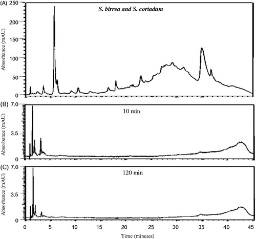 Figure 9. HPLC chromatograms of a combination of S. birrea and S. cordatum organic extracts (1:1; 32 mg/mL PBS) at 260 nm prior to (A) and after the in vitro permeability experiment at different time intervals (B: 10 min and C: 120 min) after exposure to excised porcine skin.