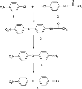 Scheme 2 Synthesis of 4-isothiocyanato-4′-nitrodiphenyl ether.