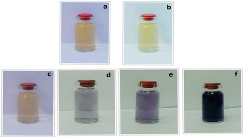 Figure 2. Oak gum solution (a), HAuCl4×H2O solution and color changes of synthesis gold nanoparticles (c,d,e and f).