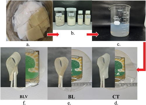 Figure 1. (a) BC pellicles, (b) BC powders, (c) treated BC suspension from various ultrasound energy, (d) CT film, (e) BL film, and (f) BLV film.