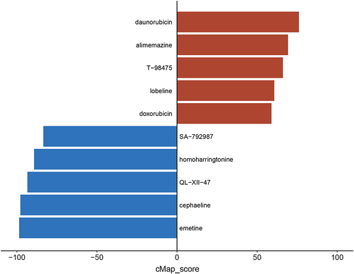 Figure 4 Drug prediction. The top 10 possible medicines were predicted by cMAP. The red color represents the positive correlation, while the blue means the negative.