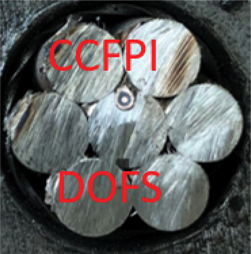 Figure 8. The schematic representation of the cross-section of the OECS smart steel strand.