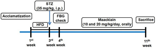 Figure 1 Schematic representation of experimental design of the study.