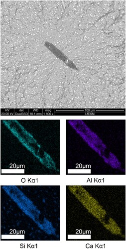 Figure 3. SEM-image in BSE-mode of a fracture-initiating inclusion on the fracture surface of a HCF specimen with corresponding EDS-elemental mappings.
