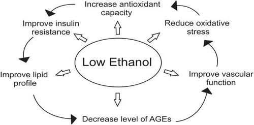 Figure 5 Mechanism of action of low ethanol.