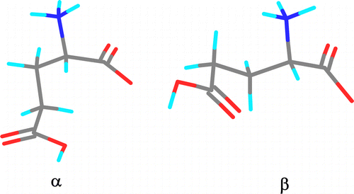 Figure 6 Conformations of l-glutamic acid molecules in the α and β crystal polymorphs.