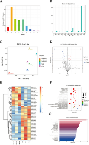 Figure 6 miRNA sequencing and comprehensive analysis of plasma-derived exosomes. (A and B) The length and species conservative analysis of miRNAs. (C) Principal component analysis. Volcano plot of differentially expressed miRNAs (DEmiRNAs). (E) Clustering heat map of DEmiRNAs. (F) GO functional enrichment analysis of DEmiRNAs target genes. (G) KEGG functional enrichment analysis of DEmiRNAs target genes.