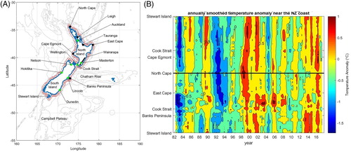 Figure 3. A, The New Zealand Seven Station locations (green). The locations near the coast selected to build a near-coastal timeseries (red). B, the timeseries of annually-smoothed temperature anomaly near the coast. The y axis begins at the southern-most location south of Stewart Island, then runs north along the east coast to North Cape (shown by the black line) before running south along the west coast.