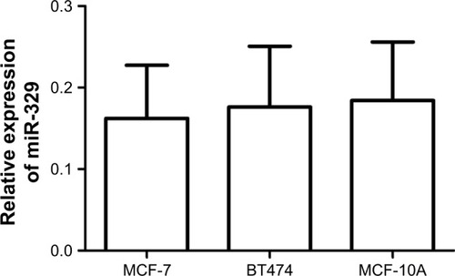 Figure 2 Expression of miR-329 in breast cancer cell-derived exosomes.