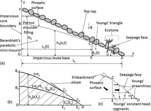 Fig. 3 (a) Vertical cross-section of the tail-water shoulder with a phreatic surface outcropping through the seepage face (early period of recession); (b) the successively receding phreatic surface; and (c) the flow net in the Youngs triangle.