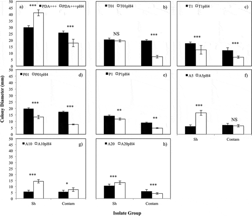 Fig. 1 Effect of medium pH-amendment on growth of S. homoeocarpa and contaminant isolates. On the x-axis, ‘Sh’ indicates the combined mean colony diameter of the four Wisconsin S. homoeocarpa isolates; ‘Contam’ indicates the combined mean colony diameter of the eight common contaminant fungi. Columns represent mean colony diameter (mm) of S. homoeocarpa and contaminant isolates with (white) and without (black) addition of HCl to medium for (a) PDA+++, (b) T01, (c) T1, (d) P01, (e) P1, (f) A5, (g) A10 and (h) A20, respectively. Errors bars represent one standard error of the mean. Two-sided independent t-tests were used to compare colony diameter between the two media and significance is indicated as follows: * P < 0.05, ** P < 0.01 and *** P < 0.001.