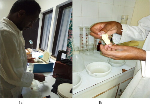 Figure 1. Residual viscoelastic mass water insoluble protein fractions (gluten).